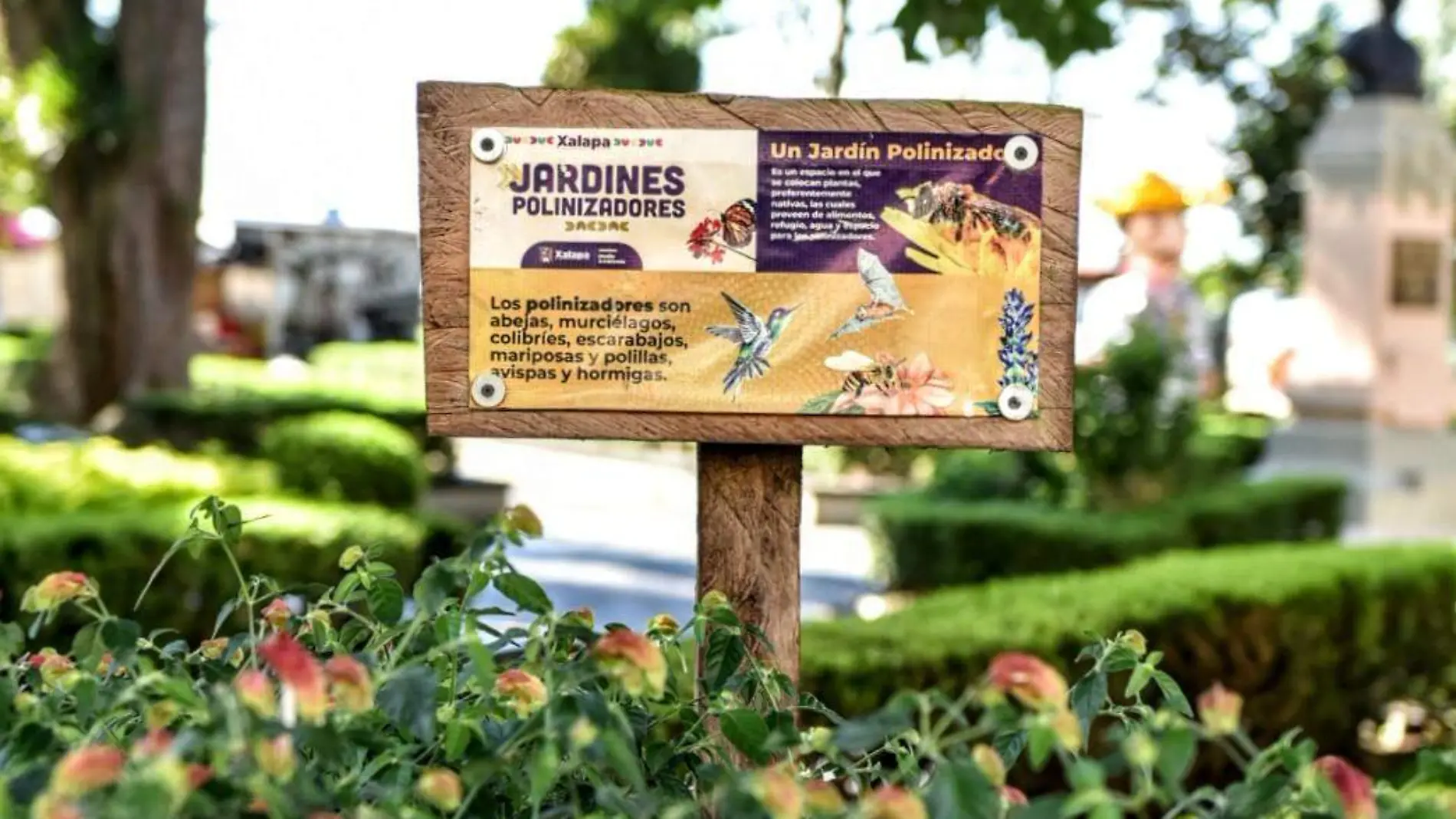 JARDINES POLINIZADORES